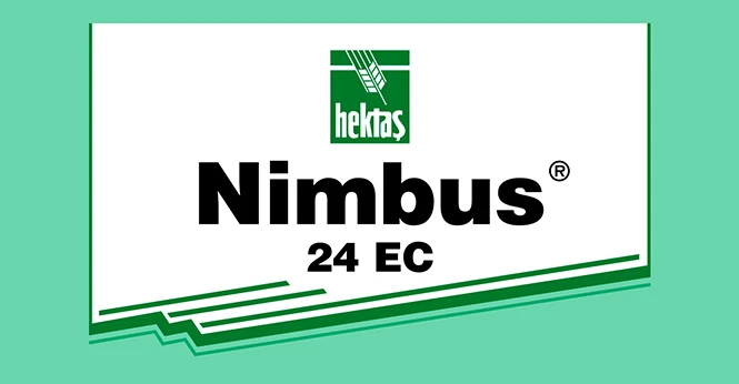 NİMBUS ® 24 EC