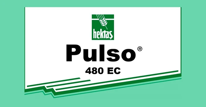 PULSO ® 480 EC