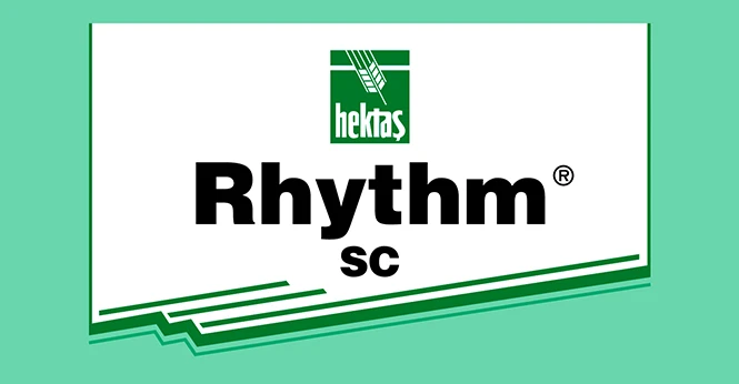 RHYTHM ® SC