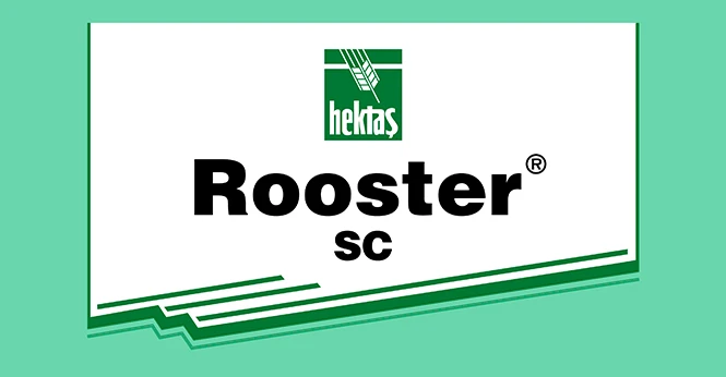 ROOSTER ® SC