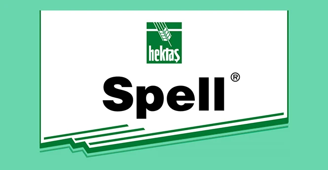SPELL ®