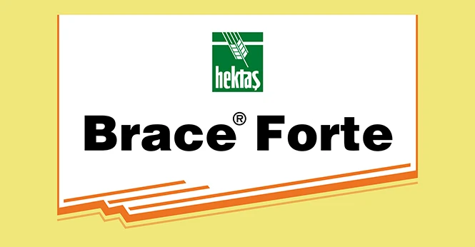 BRACE ® FORTE