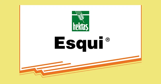 ESQUI ®