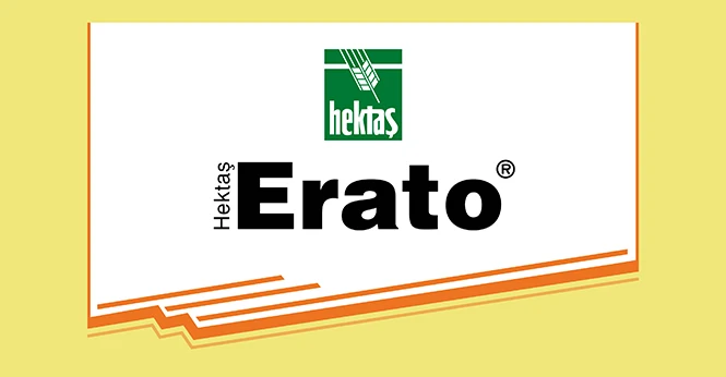  HEKTAŞ ERATO ®