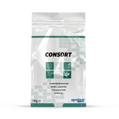 CONSORT