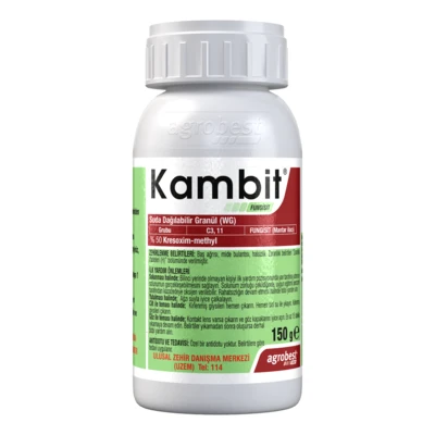 KAMBİT