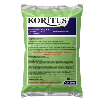 KORİTUS