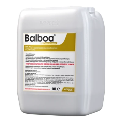 BALBOA