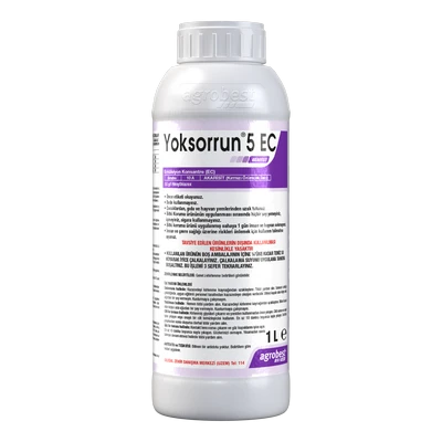 YOKSORRUN 5 EC