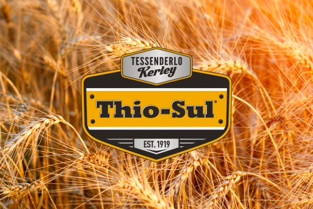 Thio-Sul