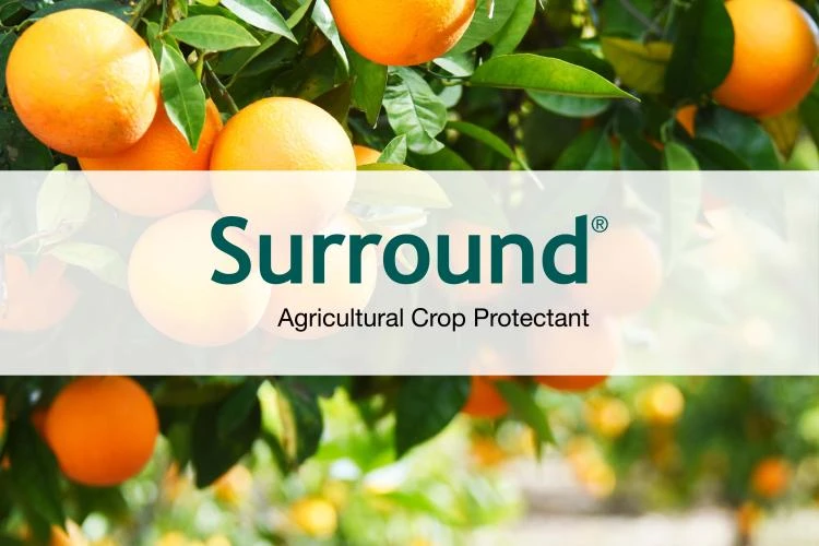 Surround