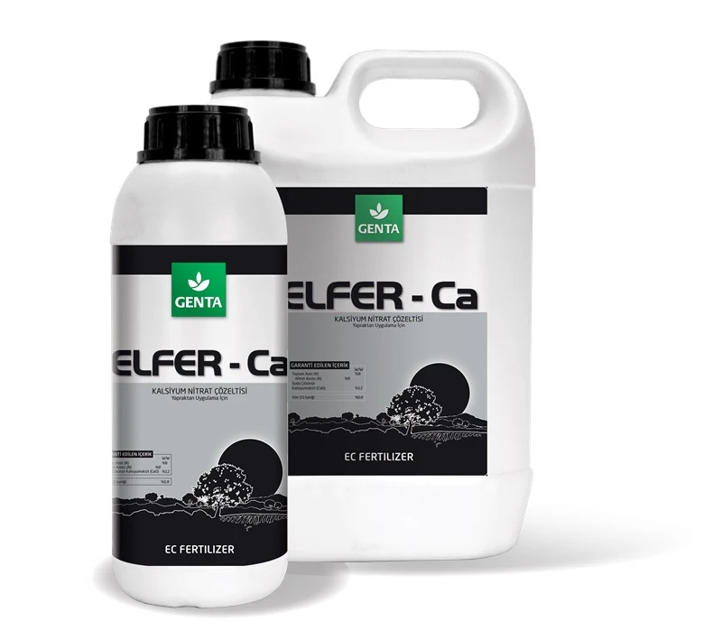 ELFER Ca