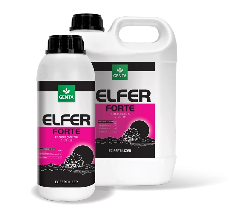 ELFER FORTE