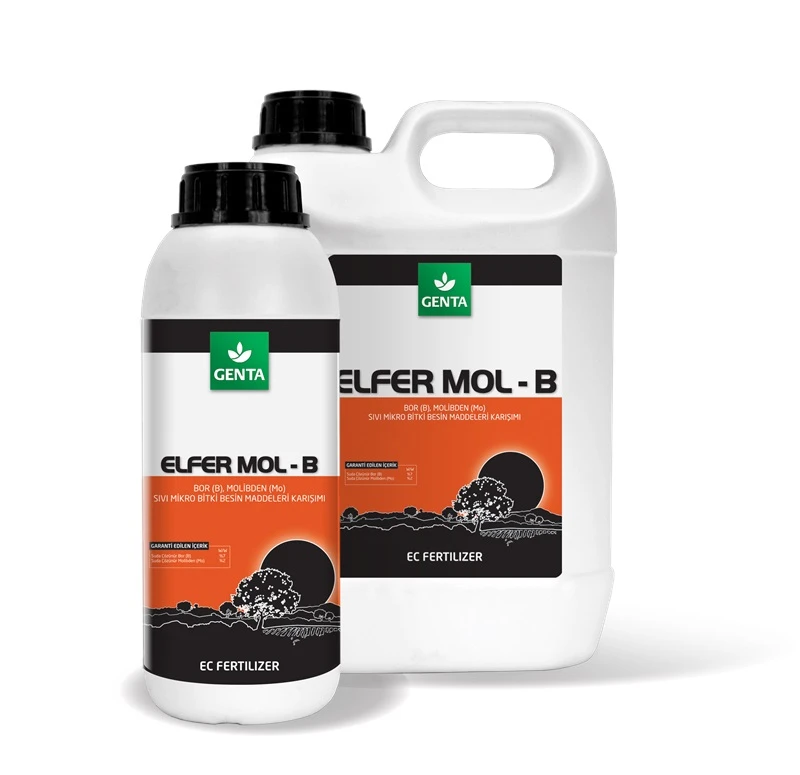 ELFER MOL-B