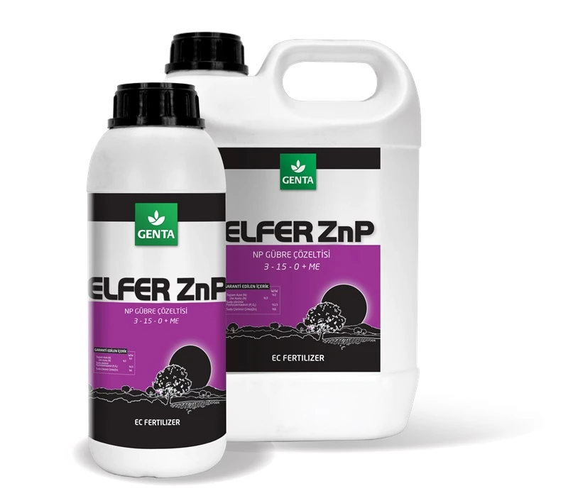 ELFER ZnP