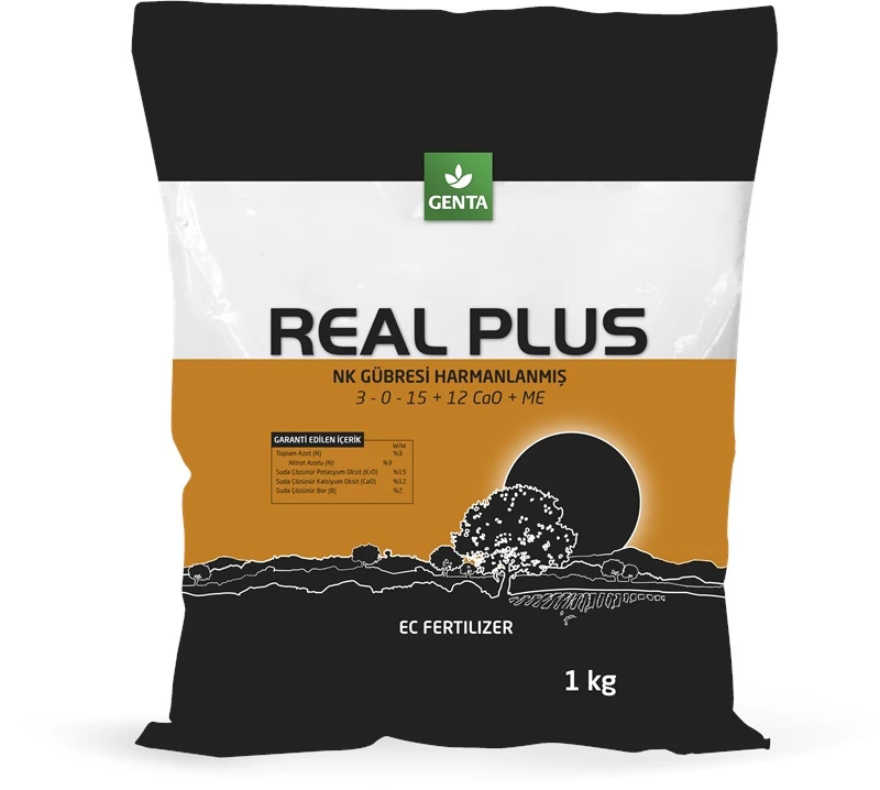 REAL PLUS
