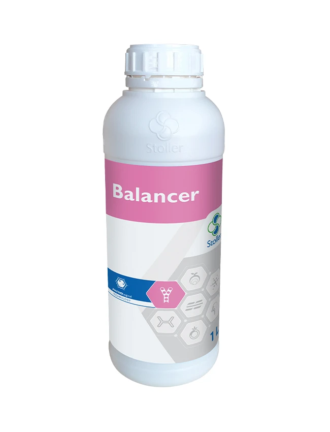BALANCER