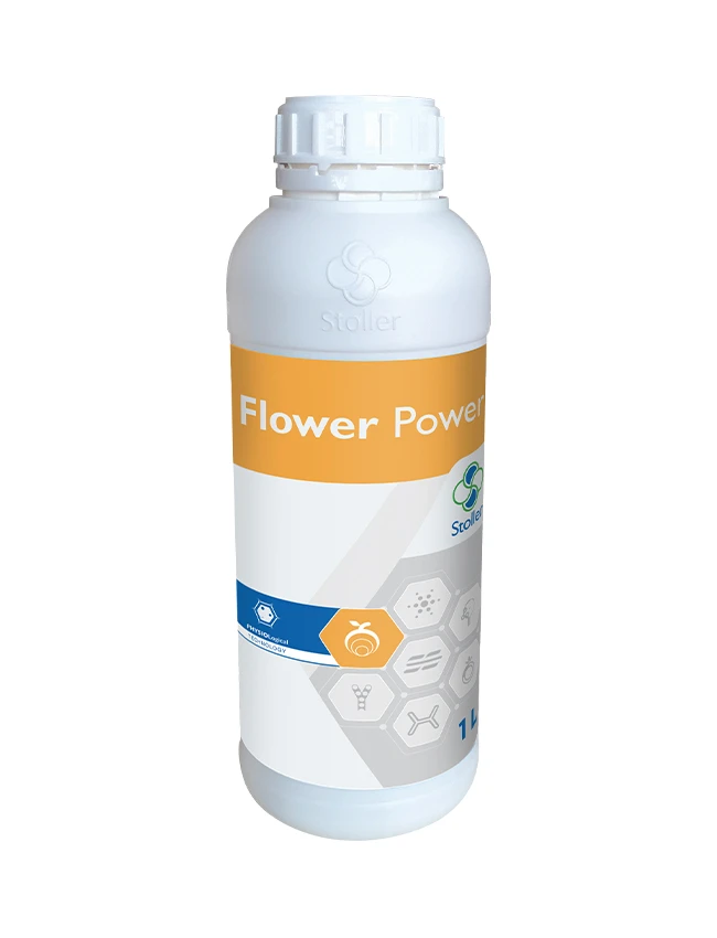 FLOWER POWER