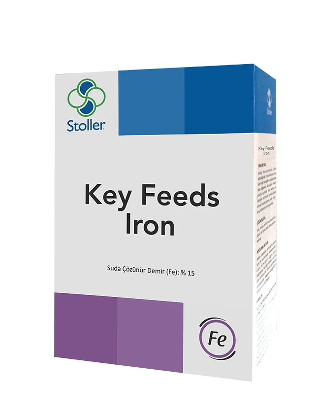 KEY FEEDS IRON