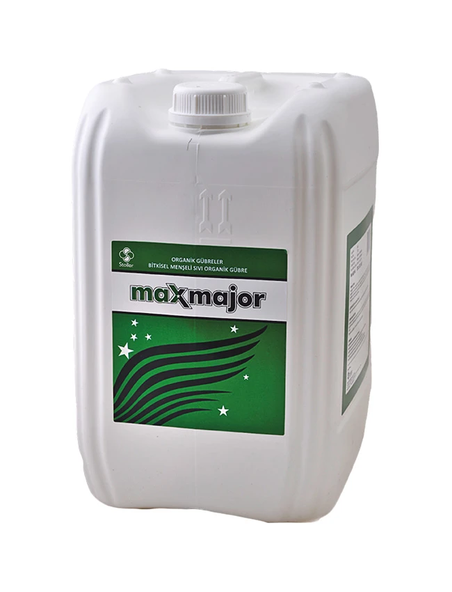 MAXMAJOR
