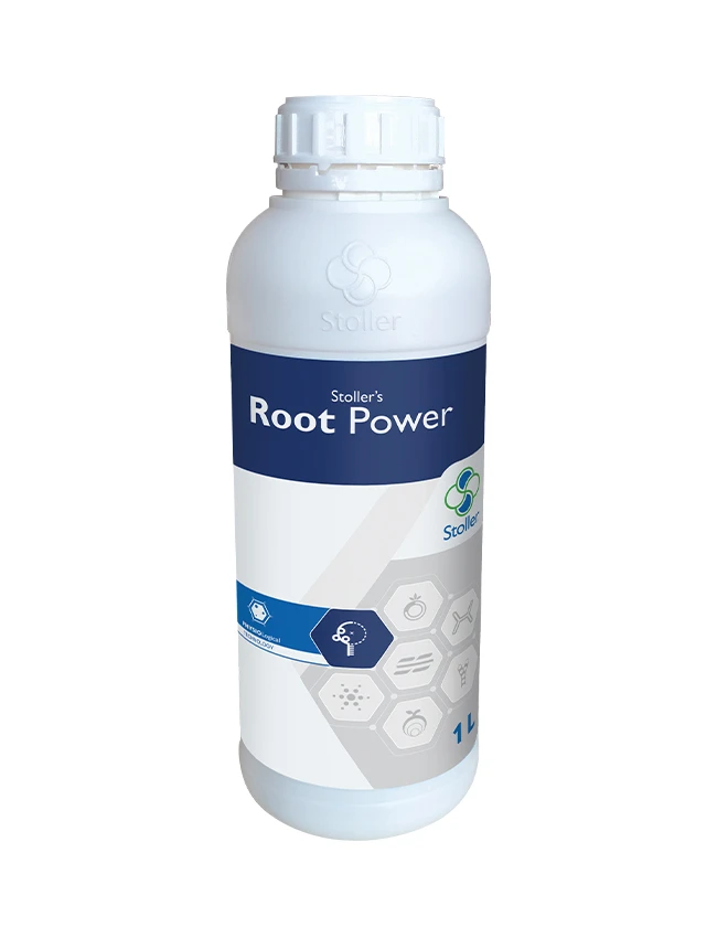 STOLLER’S ROOT POWER