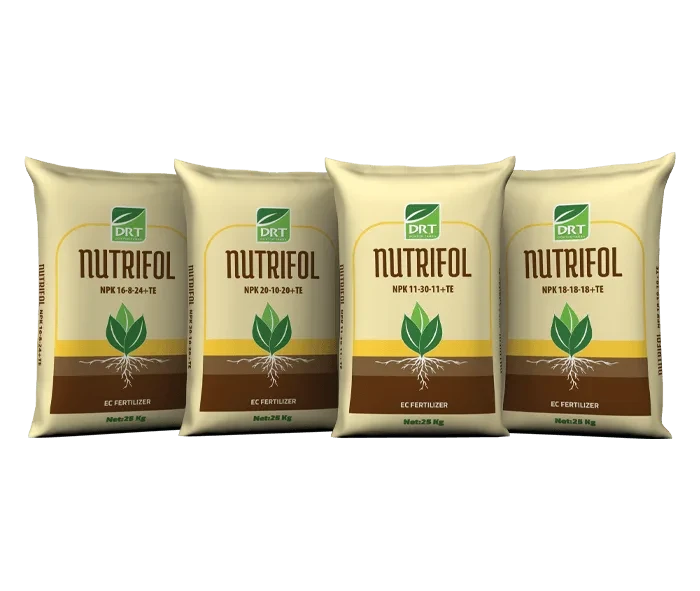 Nutrifol