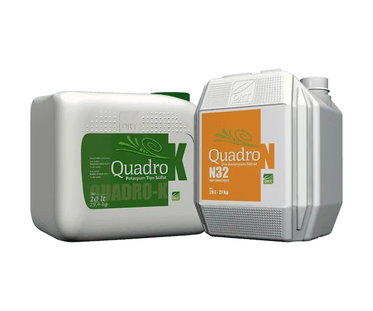 Quadro