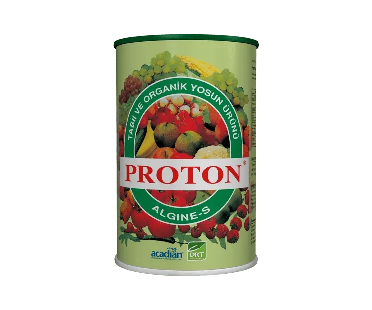 Proton