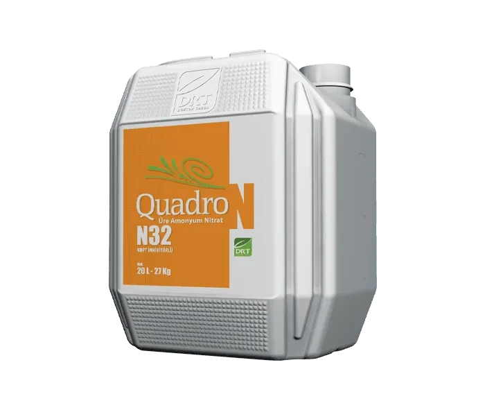 Quadro N 32