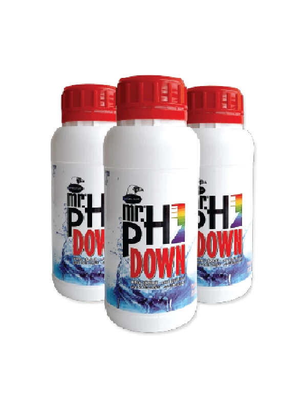 MR.®DOWN PH