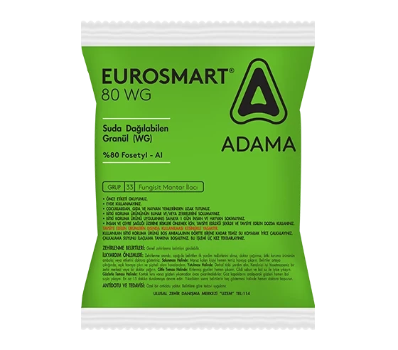 EUROSMART® 80 WG