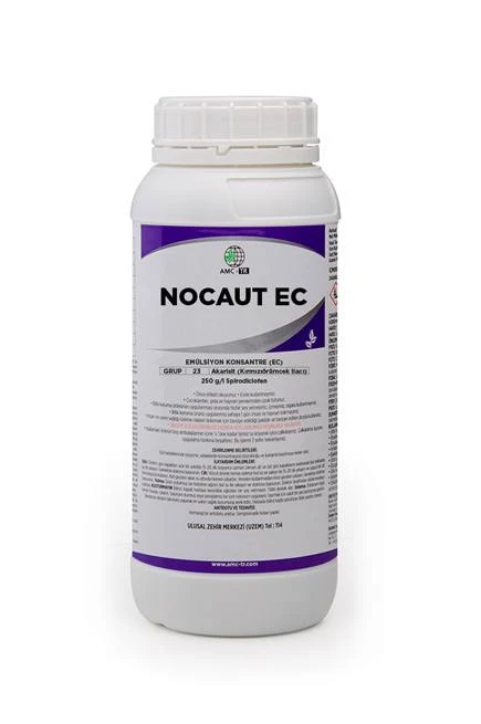 Nocaut EC