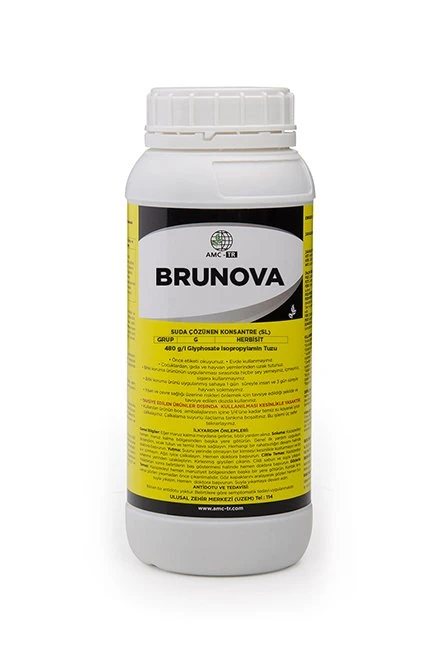 Brunova