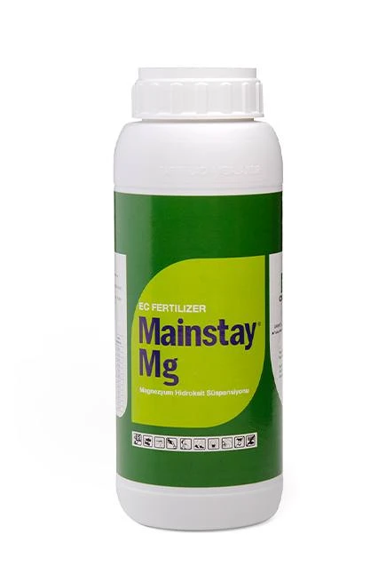 Mainstay Mg