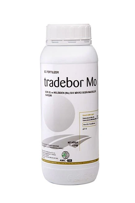 Tradebor Mo