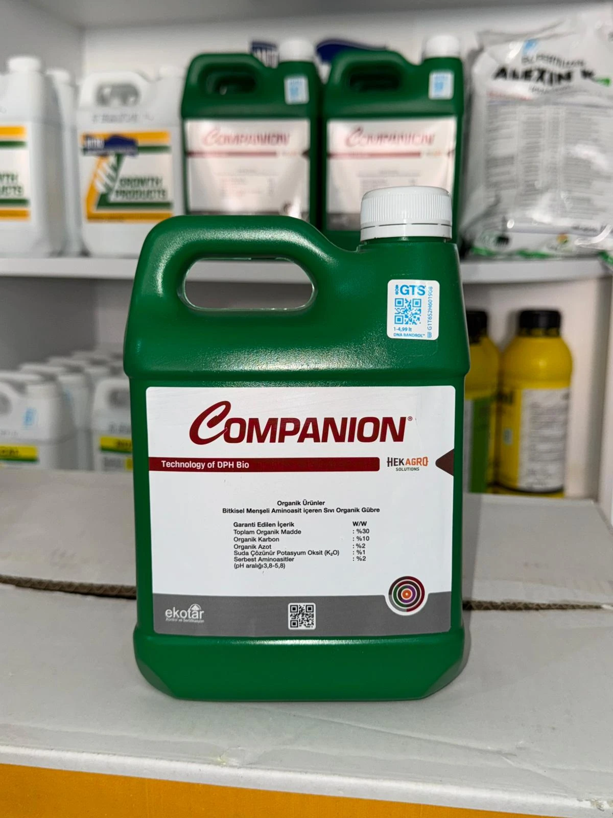 Companion