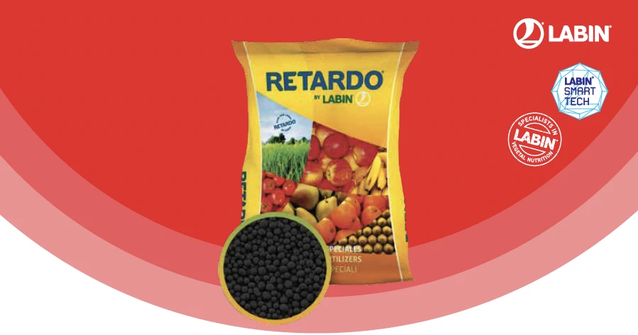 RETARDO