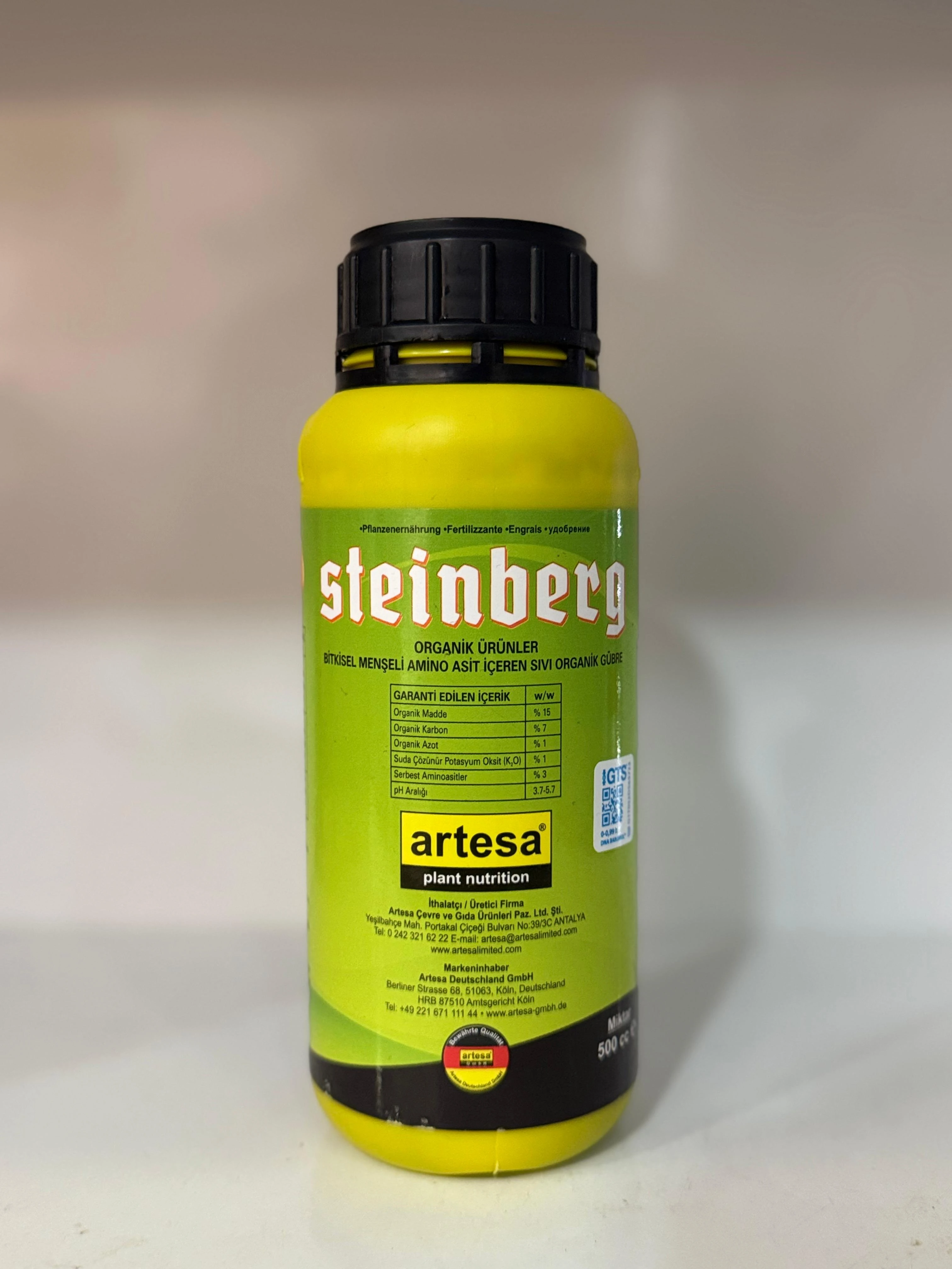 Steinberg