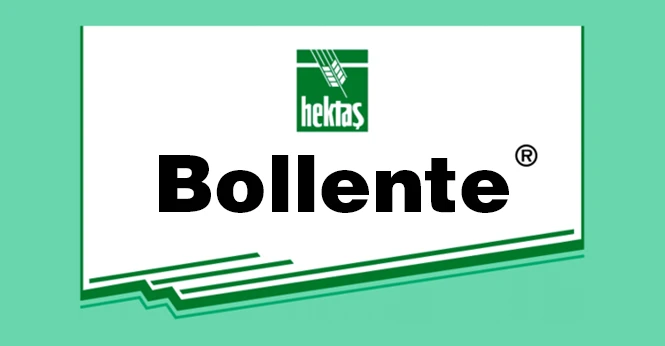 BOLLENTE ®