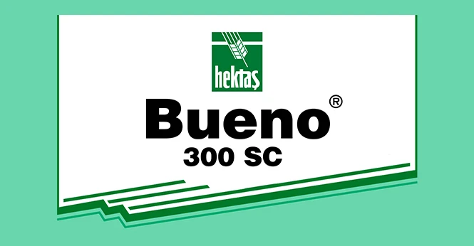 BUENO ® 300 SC