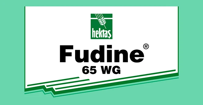 FUDINE ® 65 WP