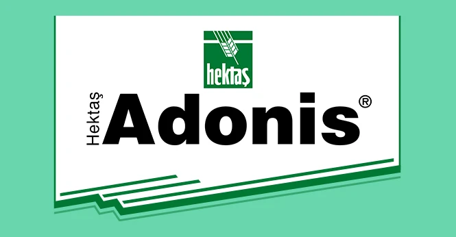 HEKTAŞ ADONİS ®