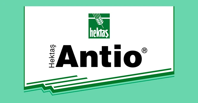 HEKTAŞ ANTIO ®