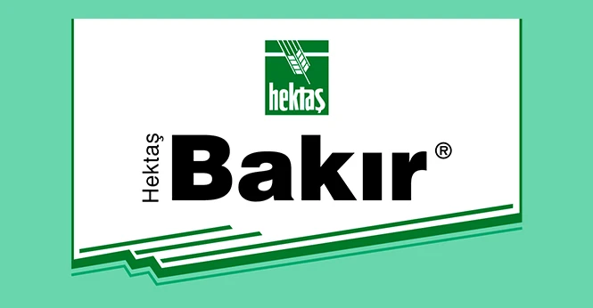 HEKTAŞ BAKIR ®