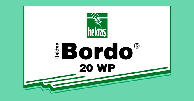 HEKTAŞ BORDO ® 20 WP