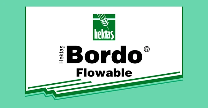 HEKTAŞ BORDO ® FLOWABLE