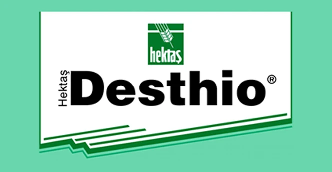 HEKTAŞ DESTHIO ®