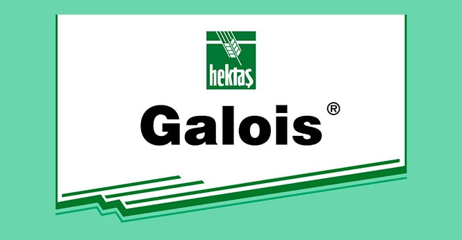 HEKTAŞ GALOİS ®